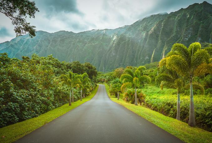 Botanični vrt Hoʻomaluhia na otoku Oahu | Foto: Shutterstock