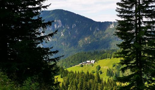 Dobra novica za slovenske kmete