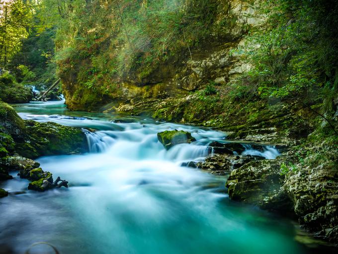 Soteska Vintgar je košček neokrnjene narave, ki jo moramo ohraniti za naše zanamce. | Foto: Getty Images