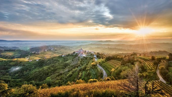 Goriška brda | Foto: arhiv ZTKMŠ Brda