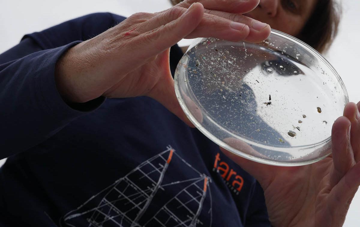 Mikroplastika | Mikroskopski vzorci plastike, kakršne so znanstveniki odkrili vzdolž vseh velikih rek v srednji, zahodni in jugozahodni Evropi. | Foto Tara Ocean Foundation