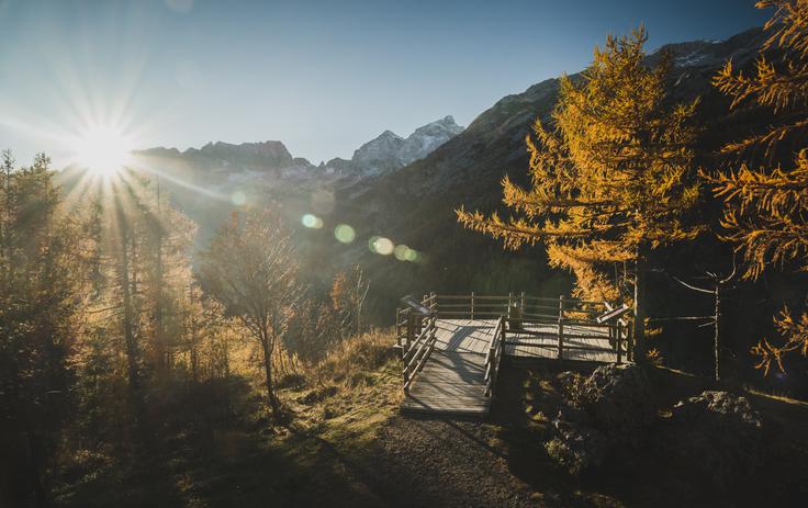 Vršič, macesen | Foto: Thinkstock