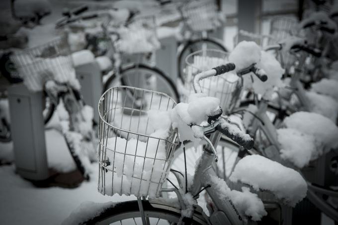Po besedah meteorologov se bo novozapadli sneg hitro ojužil. | Foto: Ana Kovač