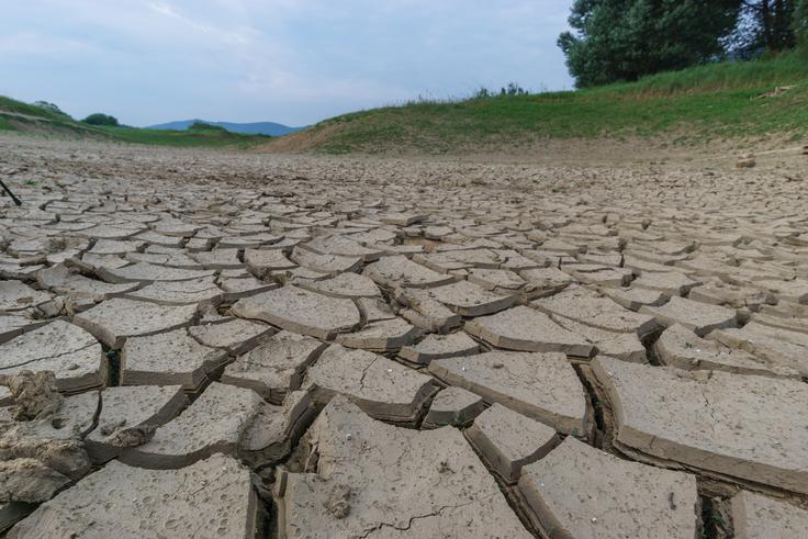 vroče, vročina, poletje, suša | Foto: Shutterstock