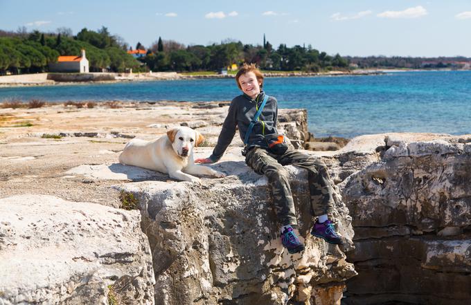 morje deček pes obala Hrvaška | Foto: Thinkstock