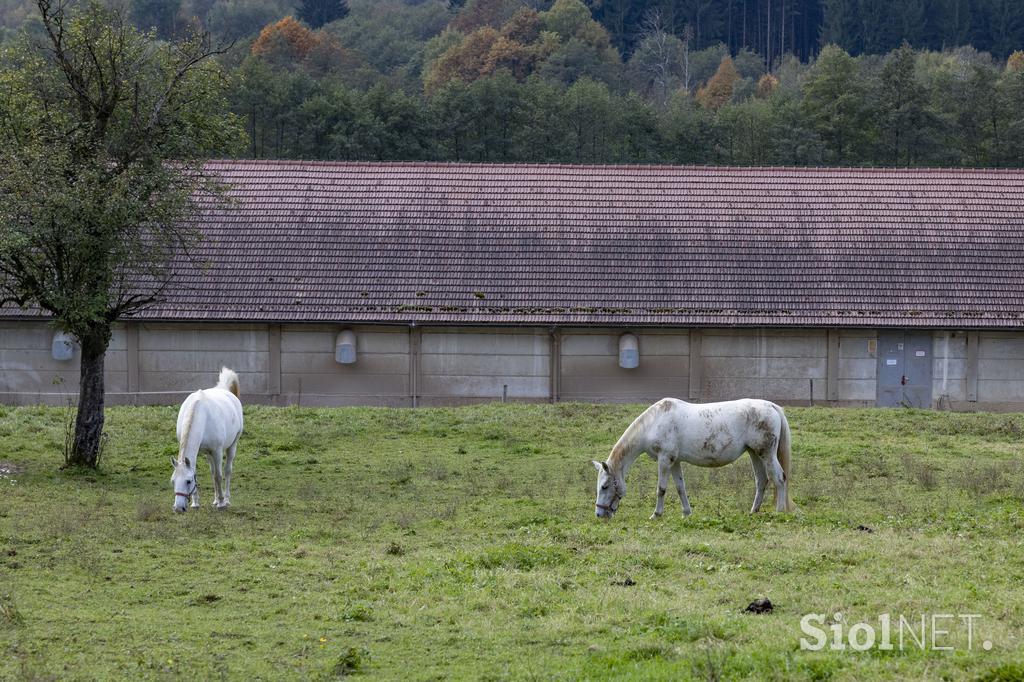 Pedagoško raziskovalni center za konjerejo Krumperk
