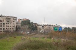 Veleposlaništvo zaposlenim dovolilo, da takoj zapustijo državo