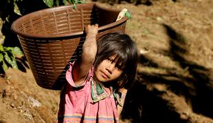 EU za okrepitev prizadevanj za odpravo otroškega dela