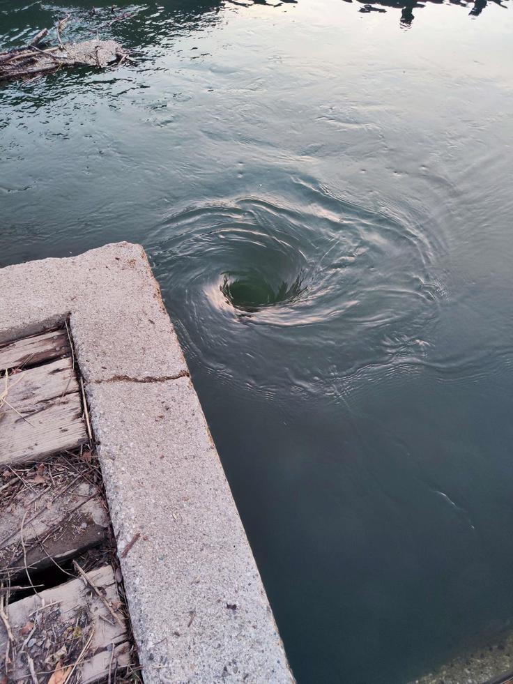 Močan vodni tok lahko kopalce potegne pod gladino. | Foto: Občina Škofja Loka