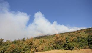 Gasilci požar na območju Velikega Rogatca obvladujejo