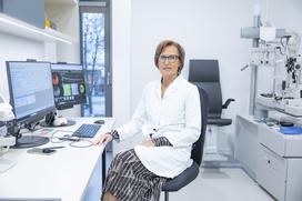 Rodenstock, Pravovid