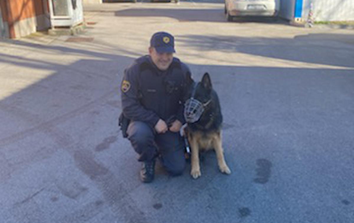 policijski pes Riki | Na območju Podgorja so policisti iskali službenega psa Rikija. | Foto PU Koper