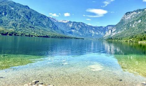 Po kopanju v Bohinjskem jezeru poginil še en pes