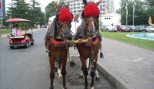 Sončna obala, bolgarska meka zabave