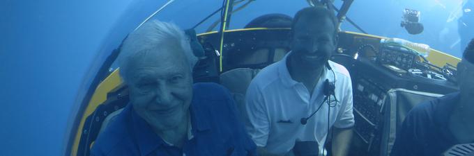 V premierni epizodi sezone se David Attenborough podaja v nebo in se potopi v valovi, da bi videl mogočnost Velikega koralnega grebena, spremljal pa je tudi zanimiv dogodek – vsakoletno drstenje koral. │ Ob 16.10. │ Foto: Freddie Claire | Foto: 
