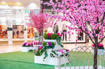 ALEJA pozdravlja pomlad in ob dnevu žena podarja rože