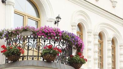 Nasveti za lepo balkonsko cvetje