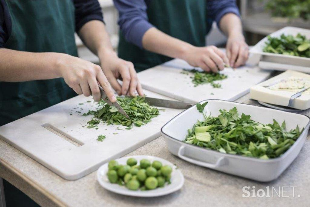 HVU Celje, pomočnik v biotehniki