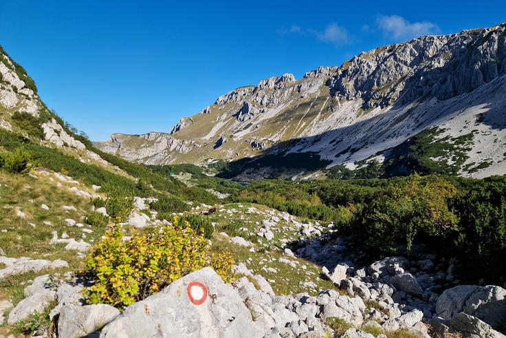 Po dolini navzdol do Škrčkega jezera. Celotna krožna pot je markirana s Knafelčevimi markacijami. | Foto: Matej Podgoršek