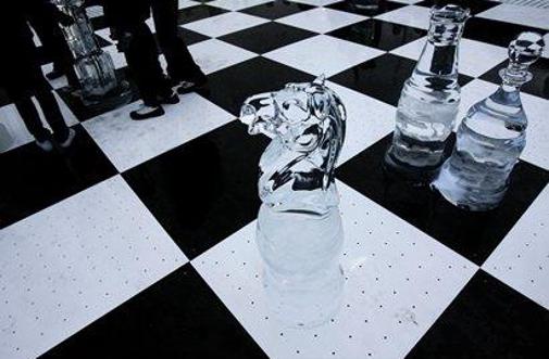 Mali šahovski geniji