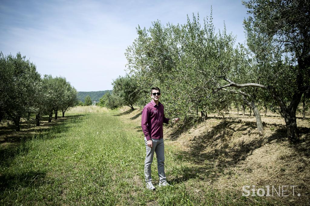 Turistična kmetija Štok Marezige