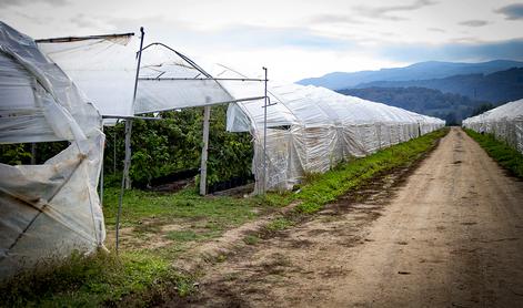 Indijski delavci na Gorenjskem delajo do 300 ur na mesec in zaslužijo 790 evrov