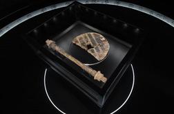 Javno vodstvo po razstavi koles