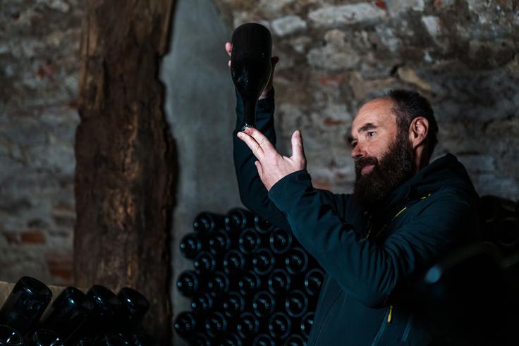 Enolog Sašo Topolšek je tihi spremljevalec trenutka, ko se grozdje počasi spreminja v zgodbo: "Vino niso samo številke, analize in tehnologija. Vino so predvsem čustva." | Foto: Jesse Štefane