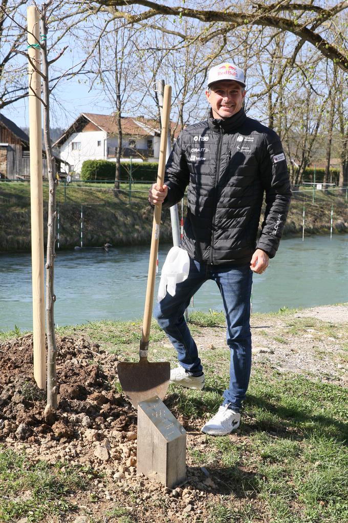 Peter Kauzer je pred dnevi ob tacenski progi posadil svoje drevo (lipo) in postal njegov skrbnik. | Foto: Nina Jelenc
