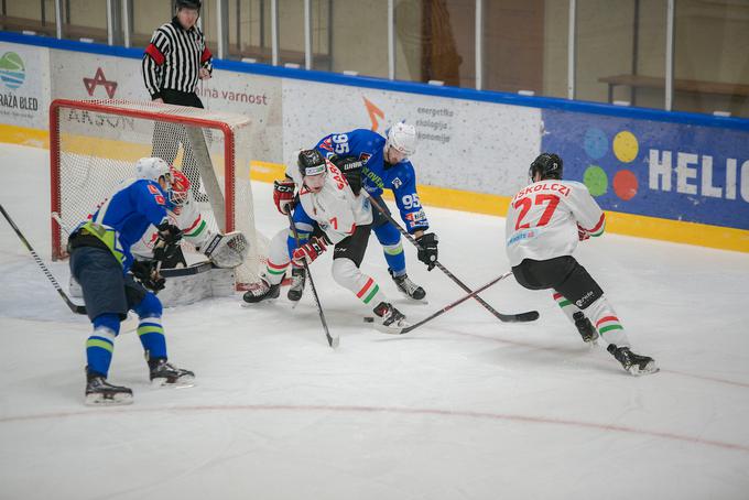 Madžari, ki na Bled niso prišli z najmočnejšimi igralci, niso bili kos Slovencem. | Foto: Peter Podobnik / Sportida