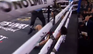 Slovenski boksarji si na sobotnem spektaklu želijo podporo s tribun