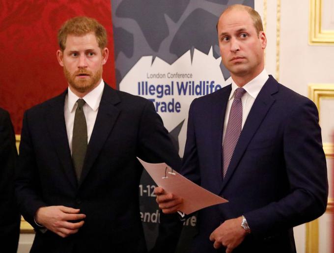 Harry in William | Foto: Getty Images