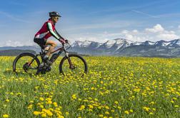Ideje poletja: kolesarski izleti za vse