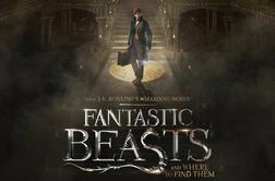 Magične živali (Fantastic Beasts and Where To Find Them)