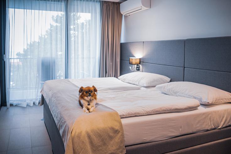 Hotel Ad Turres | Foto: Jadran d.d.
