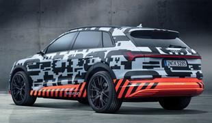 Audi zamaknil svojo novost leta