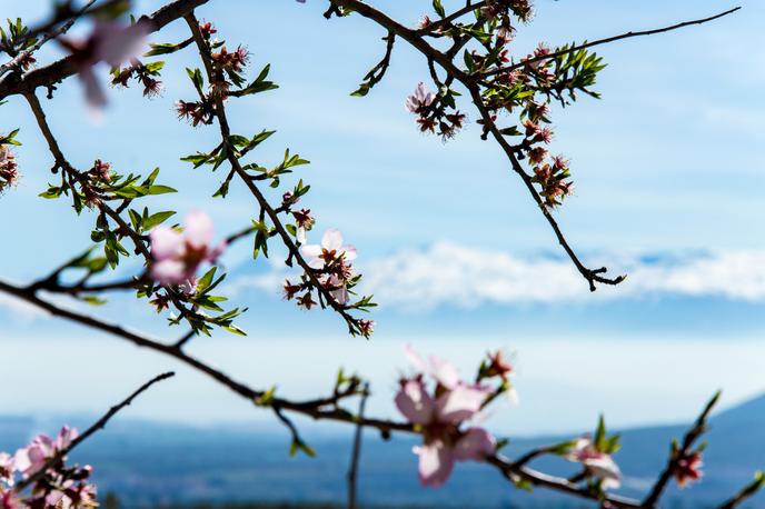 pomlad, Sierra Nevada | Foto Thinkstock