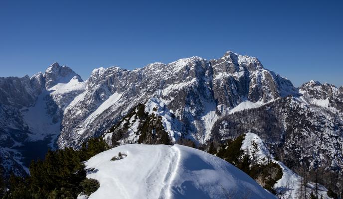 Kraljevski razgled na Jalovec in Planico #video