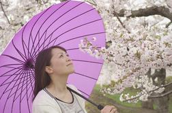 Spoznajte čarobnost tradicionalne japonske glasbe