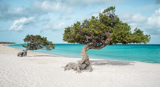 3. Eagle Beach, Aruba | Foto: Getty Images