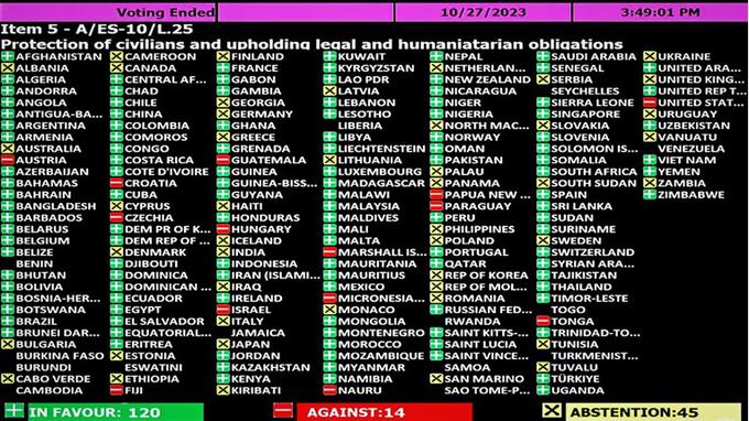 glasovanje ZN | Foto: omrežje X/necenzurirano.si