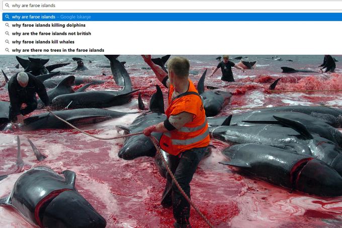 Zakaj na Ferski otokih pobijajo delfine in kite? Zakaj Ferski otoki niso del Velike Britanije? Zakaj na Ferskih otokih ni dreves? | Foto: 