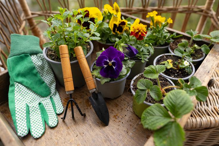 velika noč | Foto: Shutterstock