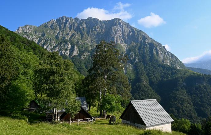 Samotna pešpot po idiličnih planinah #video