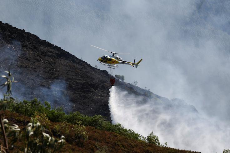Portugalska, požar | Foto: Reuters