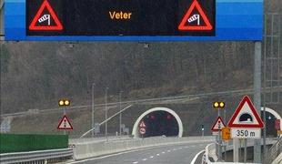 Ajdovci smo vajeni, v Novi Gorici pa ni več celega drevesa