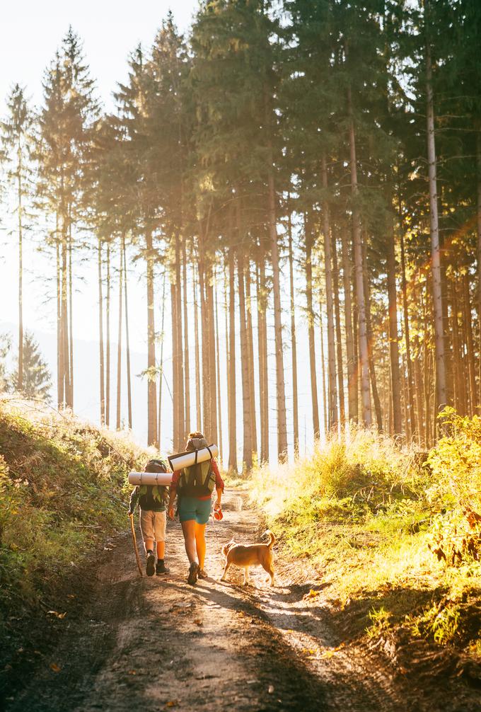 Daljinske pohodniške poti povezujejo gorske vrhove in doline z morjem. | Foto: Getty Images