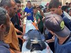 Gaza, ubiti novinar