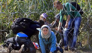 Madžarska predčasno končala gradnjo zidu na meji s Srbijo (video)