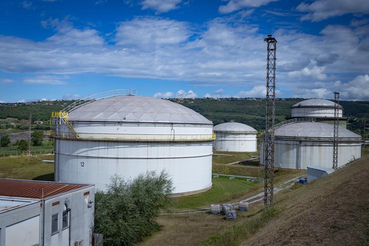 Med gorivi z 82 odstotki prevladuje dizel. | Foto: Ana Kovač